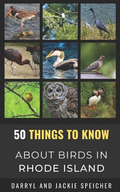 Front cover_50 Things to Know About Birds in the Rhode Island