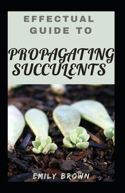 Couverture_Effectual Guide To Propagating Succulents