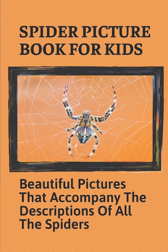 Front cover_Spider Picture Book For Kids