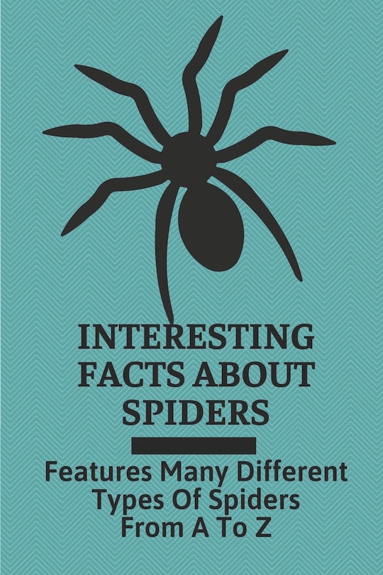 Couverture_Interesting Facts About Spiders