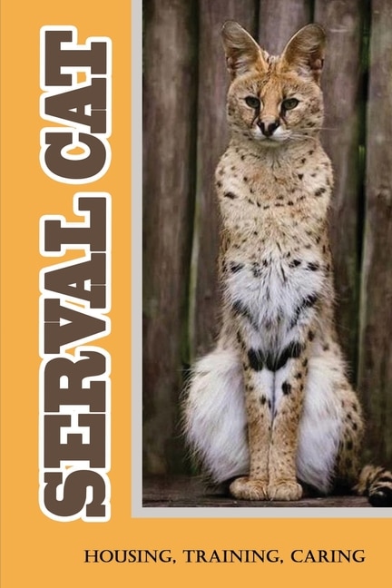 Serval Cat: Housing, Training, Caring: Care Guide For Serval Cat