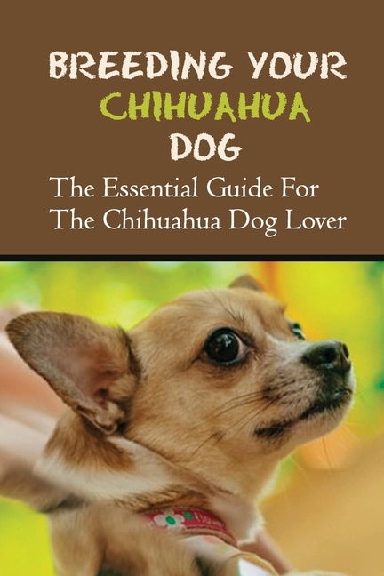 Chihuahua essentials top