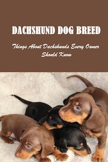 Dachshund Dog Breed: Things About Dachshunds Every Owner Should Know: Can You Breed A Mini Dachshund With A Standard