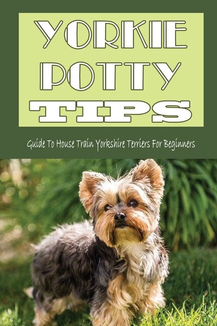 How to potty train a yorkie sales