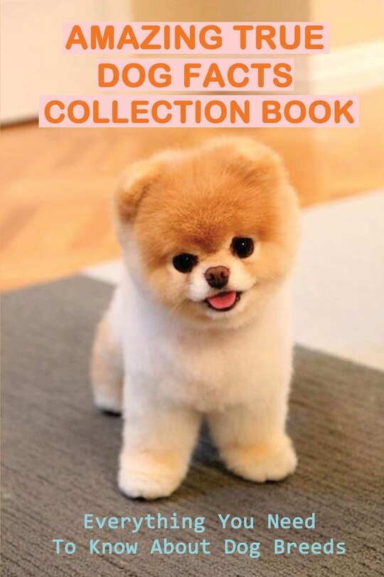 Couverture_Amazing True Dog Facts Collection Book