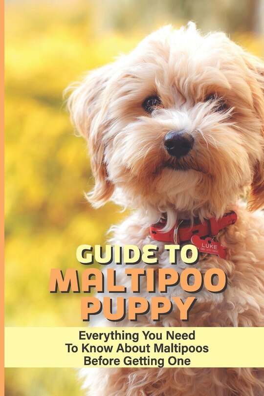 Front cover_Guide To Maltipoo Puppy