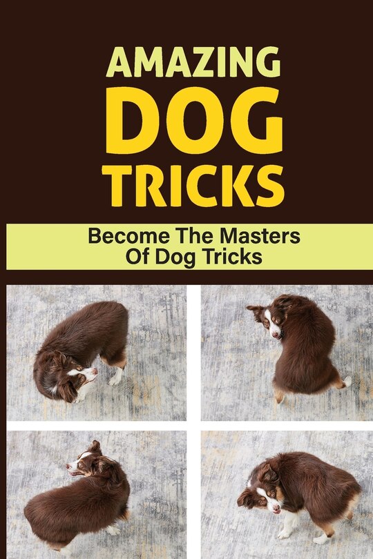 Couverture_Amazing Dog Tricks