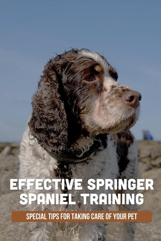 Front cover_Effective Springer Spaniel Training