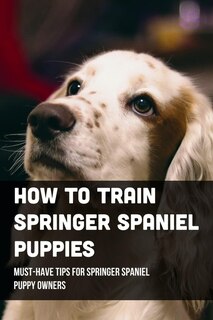 Front cover_How To Train Springer Spaniel Puppies