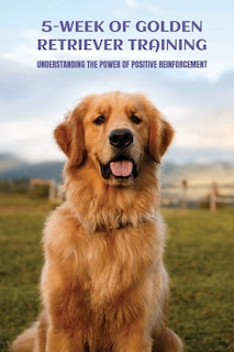 5-Week Of Golden Retriever Training: Understanding The Power Of Positive Reinforcement: Growth