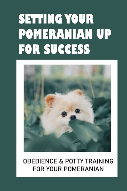 How to train top your pomeranian puppy