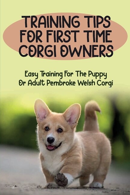 First time top corgi owner
