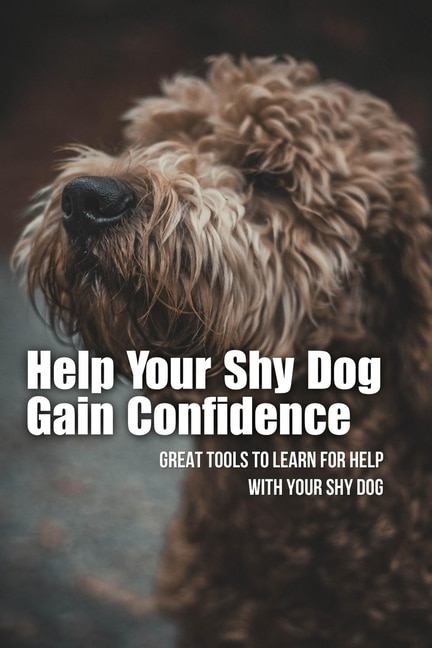 Help Your Shy Dog Gain Confidence: Great Tools To Learn For Help With Your Shy Dog: How To Approach A Shy Or Fearful Dog