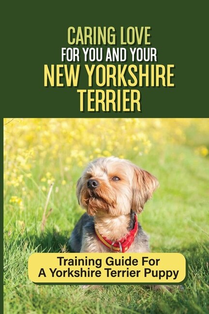 Training your yorkie discount