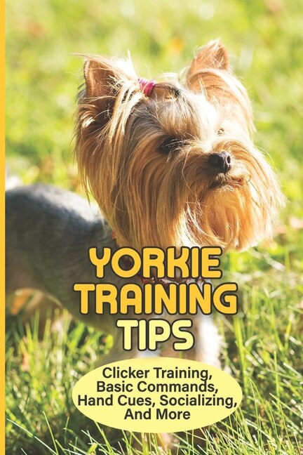 Yorkie Training Tips Clicker Training Basic Commands Hand Cues