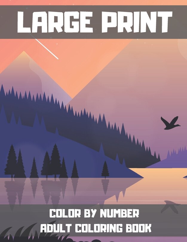 Front cover_Large Print Color By Number Adult Coloring Book