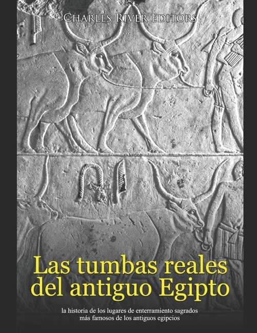 Las tumbas reales del antiguo Egipto la historia de los lugares de