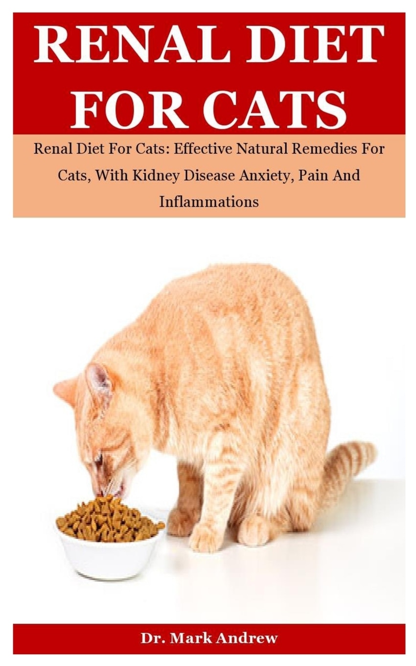 Diet for cats sales with kidney problems