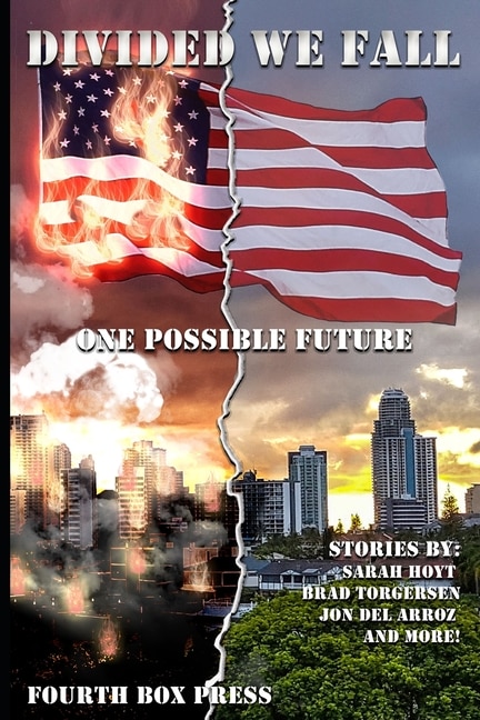 Divided we Fall: One Possible Future