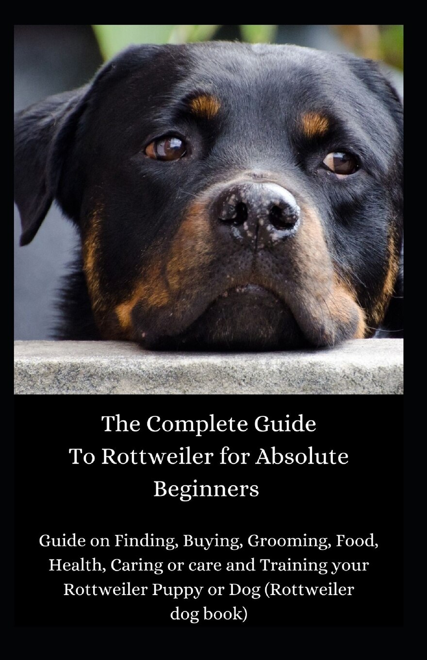 Buying 2025 a rottweiler