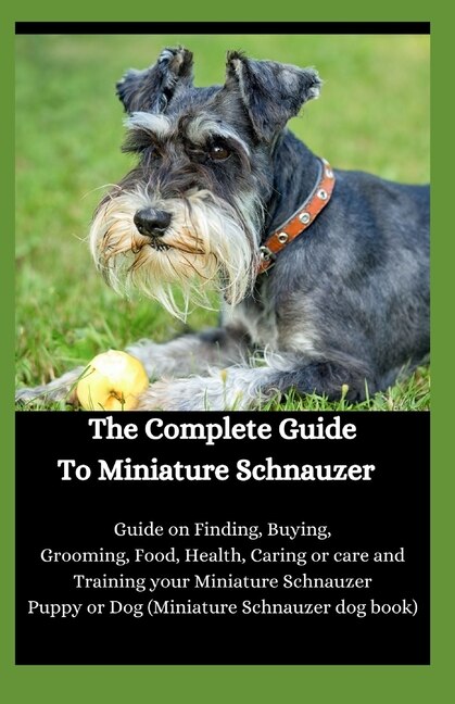 Buying a miniature hotsell schnauzer