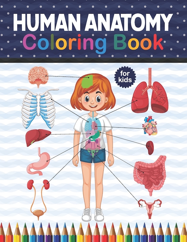 Human Anatomy Coloring Book For Kids: Get To Know The Human Organs Kids ...