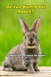 Do You Want A Pet Rabbit: All Need To Know About Pet Rabbit: Gift Ideas for Holiday