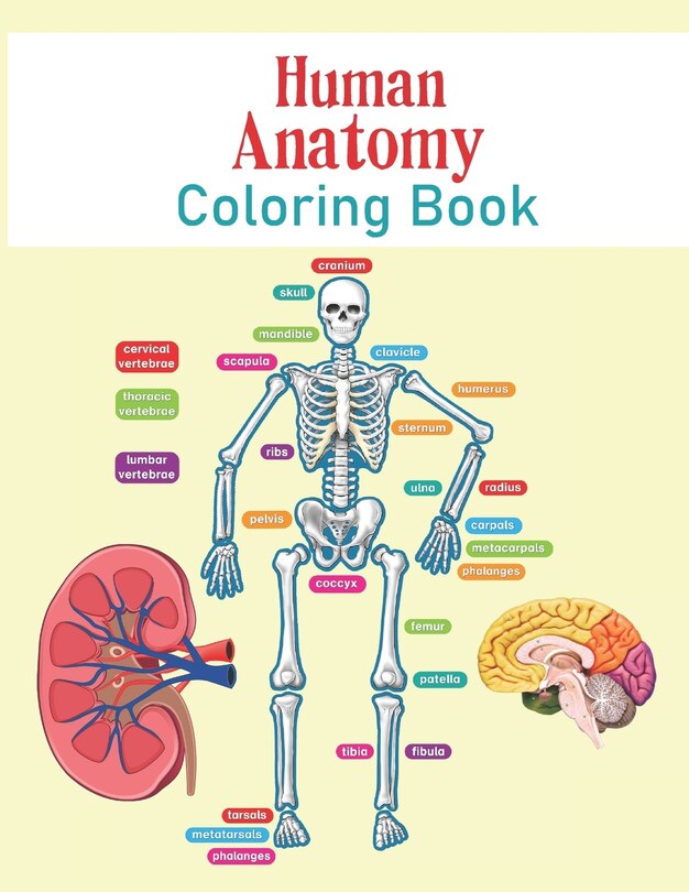 Couverture_Human Anatomy Coloring Book