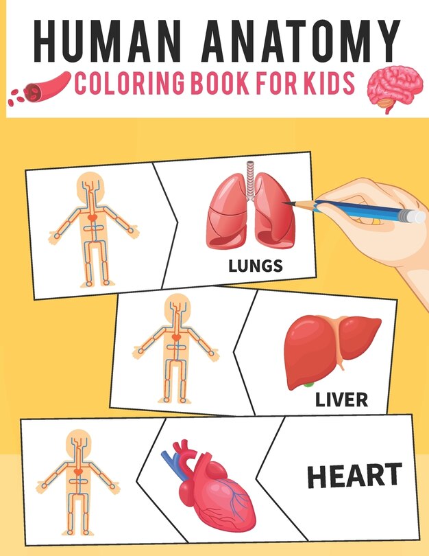 Front cover_Human Anatomy Coloring Book For Kids