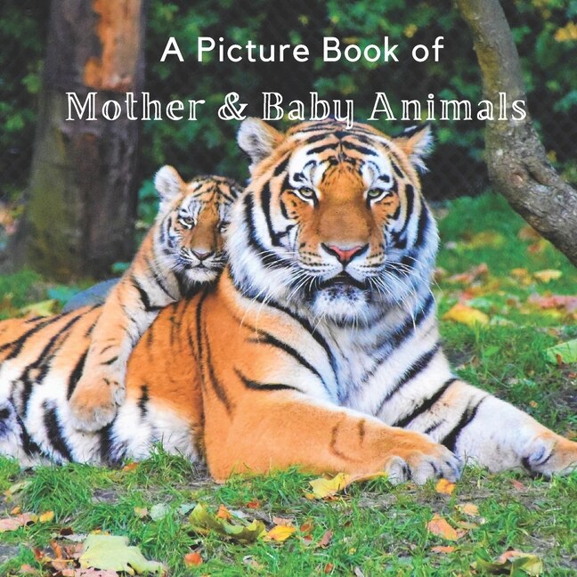 Couverture_A Picture Book of Mother & Baby Animals