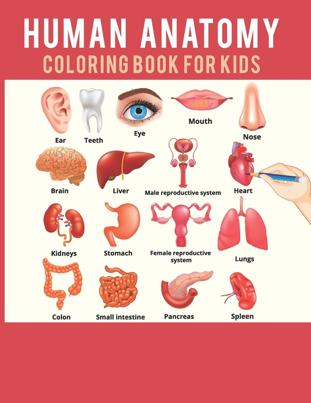 Front cover_Human Anatomy Coloring Book For Kids