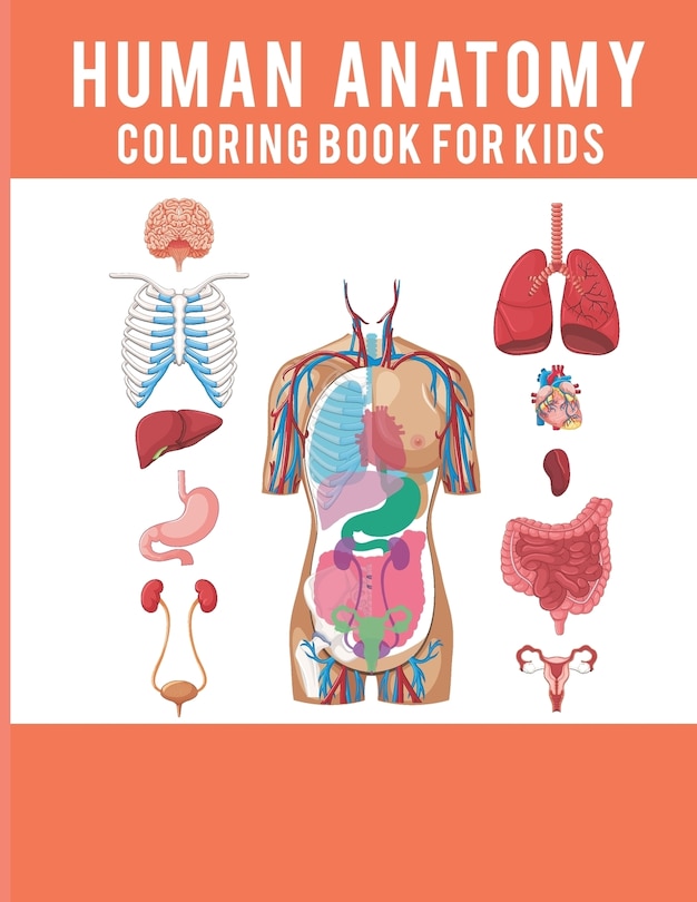 Couverture_Human Anatomy Coloring Book For Kids