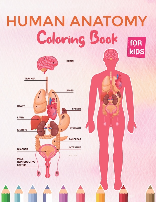 Couverture_Human Anatomy Coloring Book For Kids