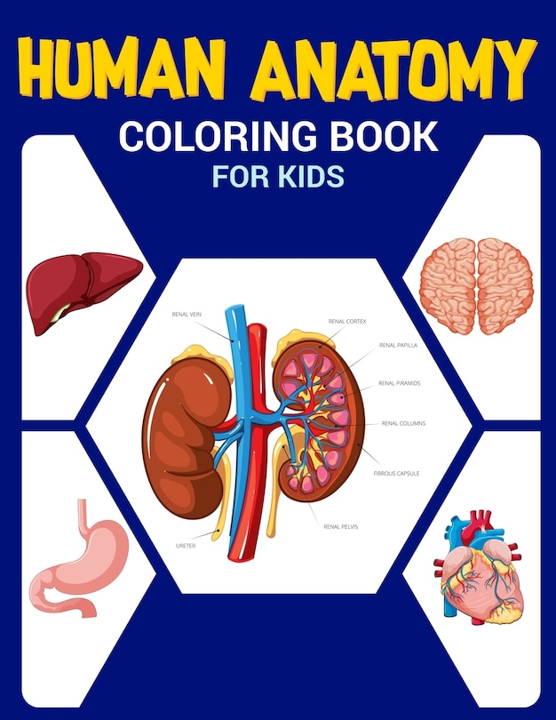 Couverture_Human Anatomy Coloring Book for Kids