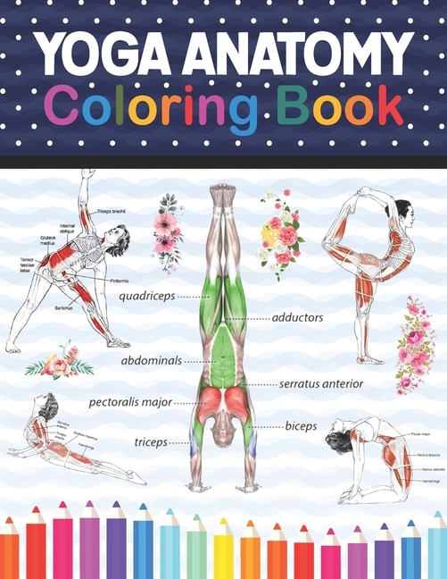 Yoga Anatomy Coloring Book: Collection Of Simple Illustrations Of Yoga Poses. A Visual Guide To Form, Function And Movement.yog