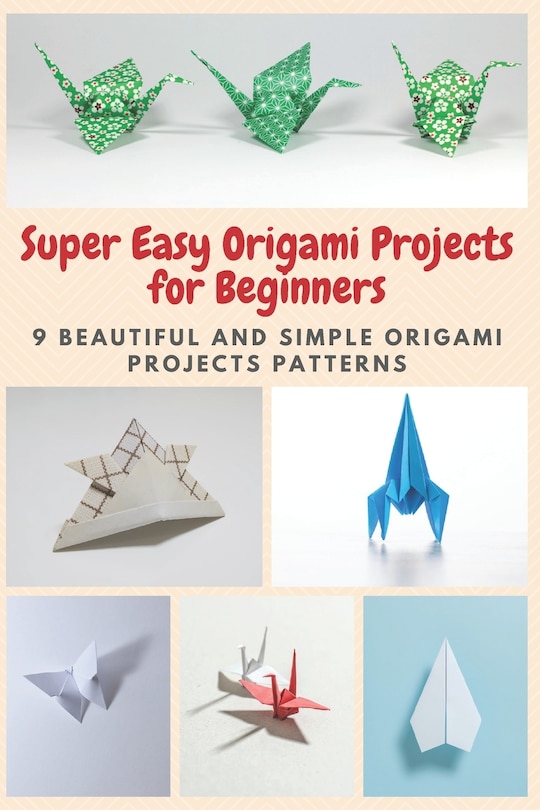 Couverture_Super Easy Origami Projects for Beginners