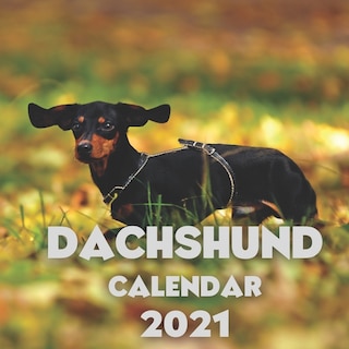 Dachshund Calendar 2021: Wall Calendar For Dogs Lovers