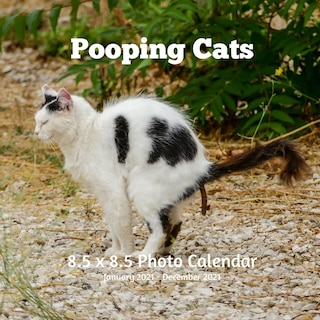 Pooping Cats 8.5 X 8.5 Calendar January 2021 -december 2021: Cats Cover Monthly Calendar With U.s./uk/ Canadian/christian/jewish/muslim Holidays -weird Calendar