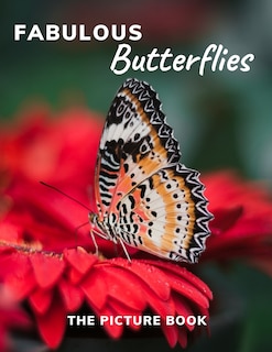 Front cover_Fabulous Butterflies