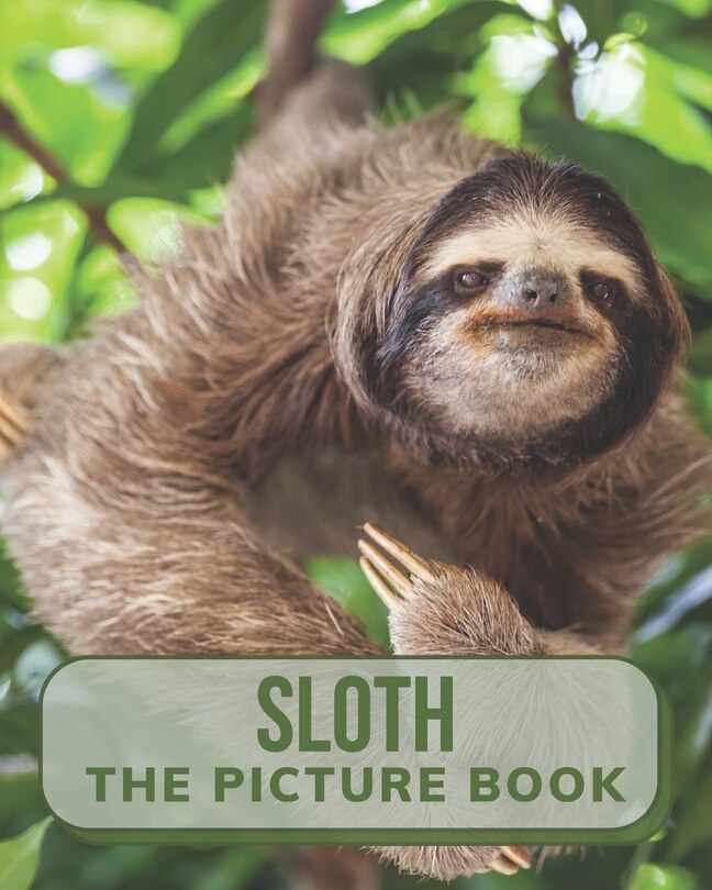 Couverture_Sloth The Picture Book