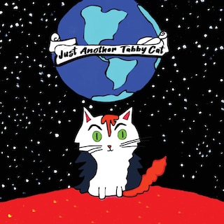 Front cover_Just Another Tabby Cat