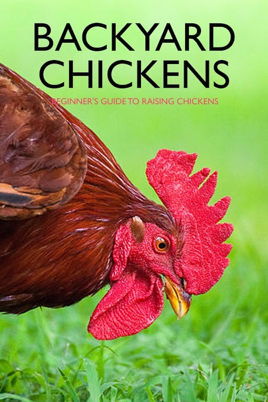 Front cover_Backyard Chickens