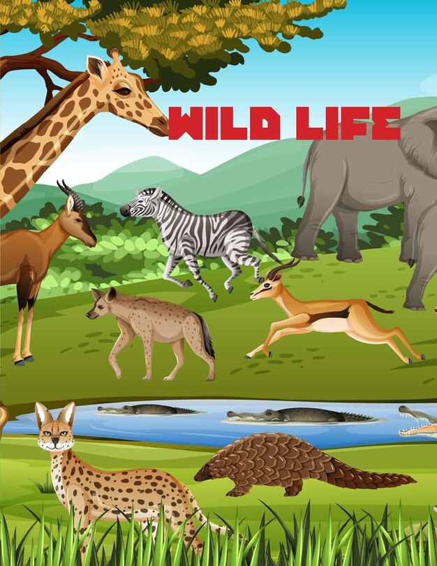 Couverture_Wild Life
