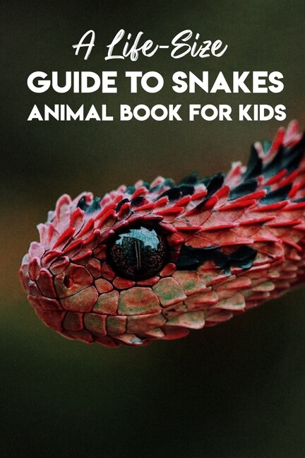 A Life-size Guide To Snakes Animal Book For Kids: Amazing Facts About Snakes