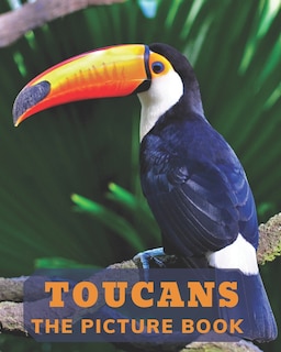 Couverture_Toucans