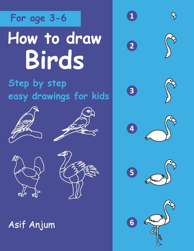 Couverture_How to draw Birds