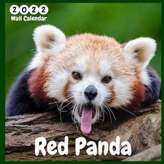 Red Panda 2022 Wall Calendar: Ofifcial Red Panda Calendar 2022, 12 Months, Red Panda Lovers Calendar