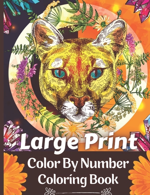 Couverture_Large Print Color By Number Coloring Book
