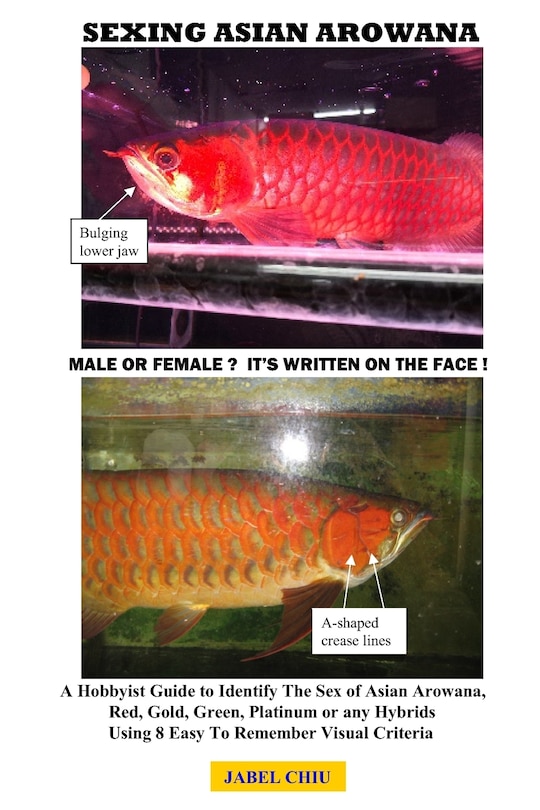 Front cover_Sexing Asian Arowana