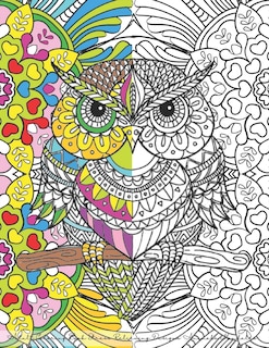 Front cover_Adult Coloring Book Stress Relieving Designs Animals Mandalas